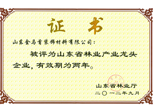 金馬首-山東省龍頭企業