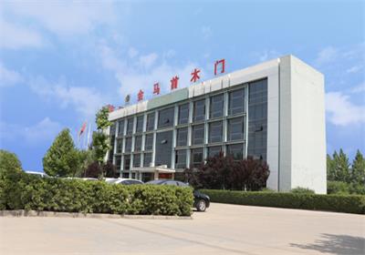 專心做質量山東實木門生產廠家金馬首用口碑贏客戶